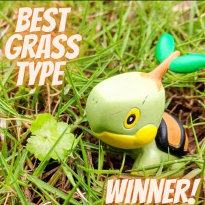 Best Grass Type Winner!
