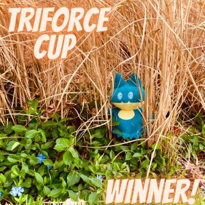 Triforce Cup Winner!