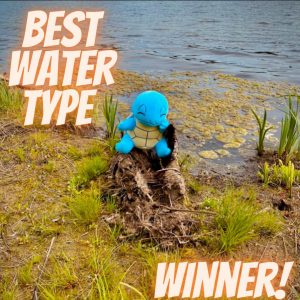 Best Water Type Winner!